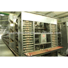 full automatic hot galvanized H type design layer chicken cages chicken cage